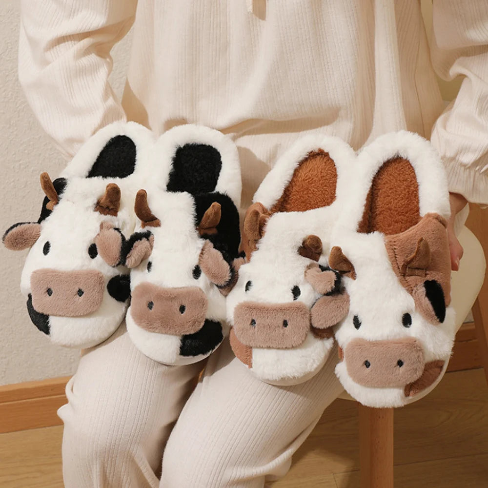 Cow slippers